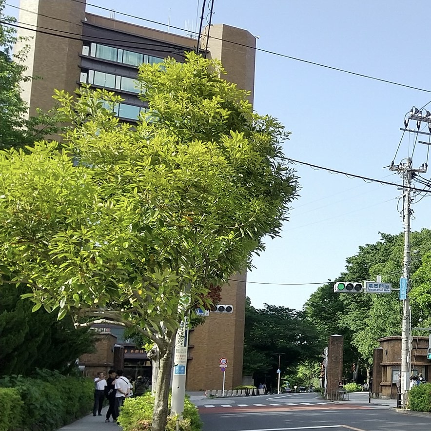 東大病院 おすすめの駐車場エリア