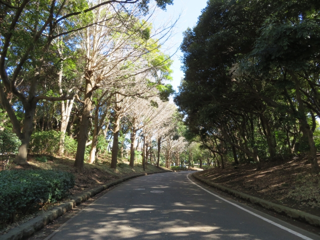 平塚市総合公園