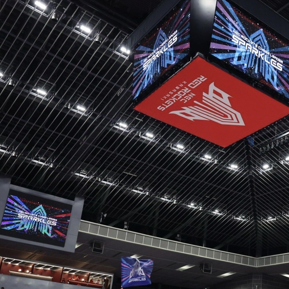 東急ドレッセとどろきアリーナ