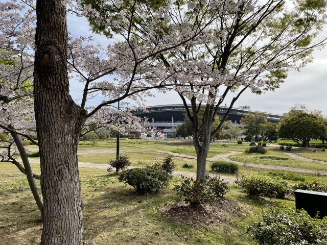 岡山県総合グラウンド